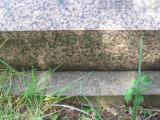 image of grave number 443641